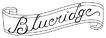 authorized blueridge guitar dealer
