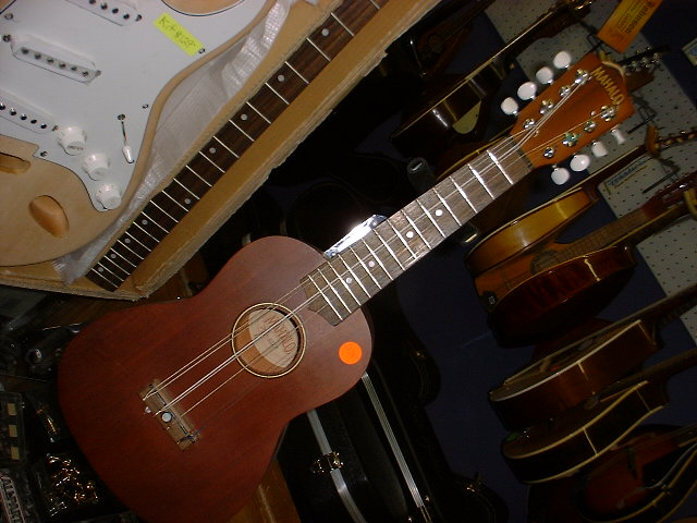 authorized mahalo ukulele dealer